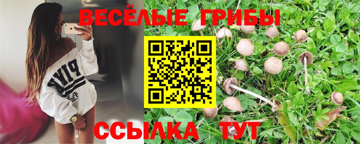Апрелевка  Псилоцибиновые грибы Psilocybe  Вход с VPN 